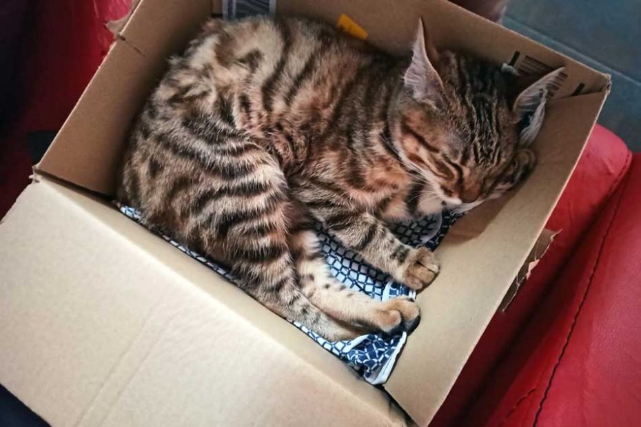 packing tips